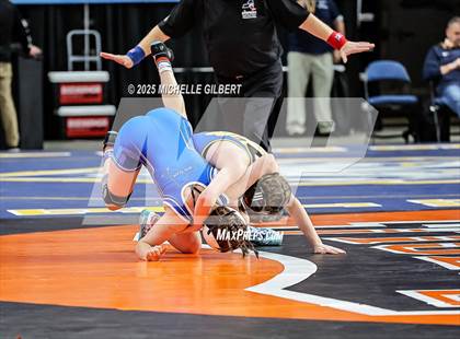 Thumbnail 2 in NYSPHSAA State Championships (wrestle backs to 3rd place) photogallery.