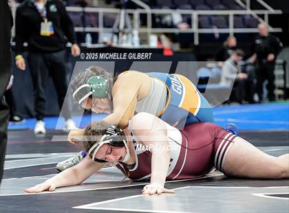 Thumbnail 3 in NYSPHSAA State Championships (wrestle backs to 3rd place) photogallery.