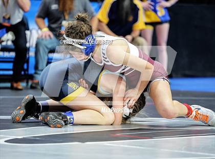 Thumbnail 3 in NYSPHSAA State Championships (wrestle backs to 3rd place) photogallery.