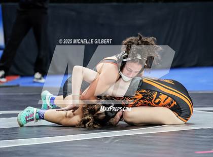 Thumbnail 1 in NYSPHSAA State Championships (wrestle backs to 3rd place) photogallery.