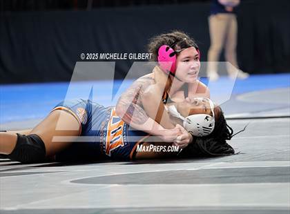 Thumbnail 1 in NYSPHSAA State Championships (wrestle backs to 3rd place) photogallery.