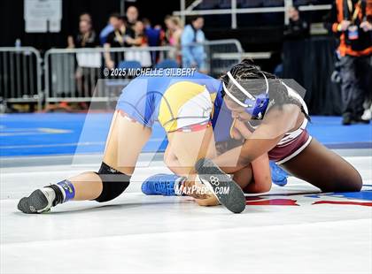 Thumbnail 2 in NYSPHSAA State Championships (wrestle backs to 3rd place) photogallery.