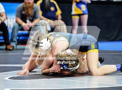 Thumbnail 3 in NYSPHSAA State Championships (wrestle backs to 3rd place) photogallery.