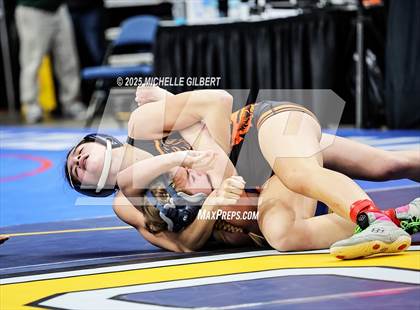 Thumbnail 2 in NYSPHSAA State Championships (wrestle backs to 3rd place) photogallery.