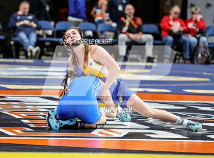 Thumbnail 2 in NYSPHSAA State Championships (wrestle backs to 3rd place) photogallery.