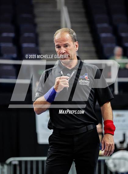 Thumbnail 2 in NYSPHSAA State Championships (wrestle backs to 3rd place) photogallery.