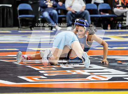 Thumbnail 2 in NYSPHSAA State Championships (wrestle backs to 3rd place) photogallery.