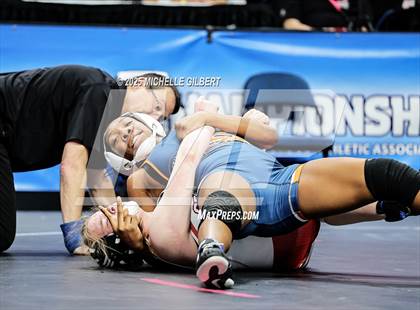 Thumbnail 3 in NYSPHSAA State Championships (wrestle backs to 3rd place) photogallery.