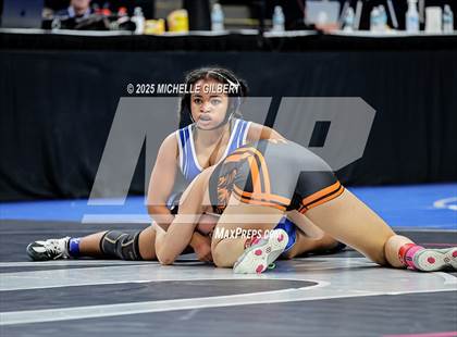 Thumbnail 2 in NYSPHSAA State Championships (wrestle backs to 3rd place) photogallery.