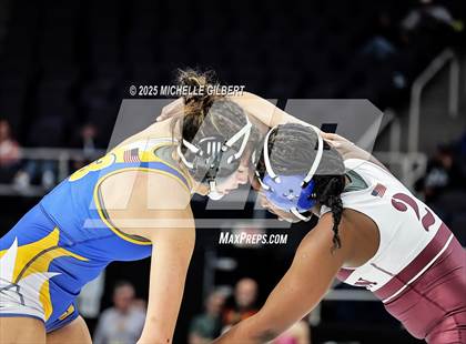 Thumbnail 2 in NYSPHSAA State Championships (wrestle backs to 3rd place) photogallery.
