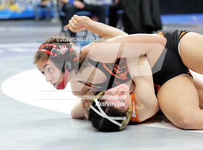 Thumbnail 3 in NYSPHSAA State Championships (wrestle backs to 3rd place) photogallery.