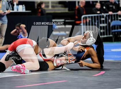 Thumbnail 2 in NYSPHSAA State Championships (wrestle backs to 3rd place) photogallery.