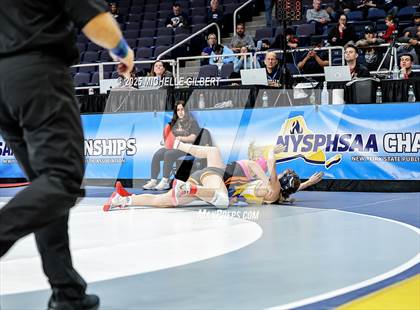 Thumbnail 3 in NYSPHSAA State Championships (wrestle backs to 3rd place) photogallery.