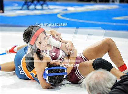 Thumbnail 1 in NYSPHSAA State Championships (wrestle backs to 3rd place) photogallery.