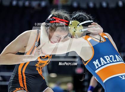 Thumbnail 2 in NYSPHSAA State Championships (wrestle backs to 3rd place) photogallery.