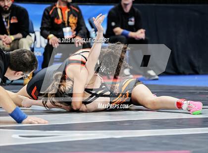 Thumbnail 3 in NYSPHSAA State Championships (wrestle backs to 3rd place) photogallery.