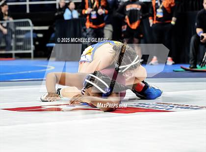 Thumbnail 3 in NYSPHSAA State Championships (wrestle backs to 3rd place) photogallery.