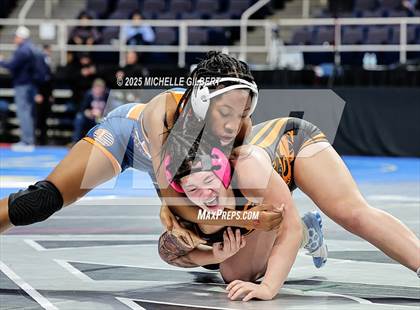 Thumbnail 3 in NYSPHSAA State Championships (wrestle backs to 3rd place) photogallery.