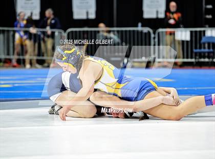 Thumbnail 2 in NYSPHSAA State Championships (wrestle backs to 3rd place) photogallery.