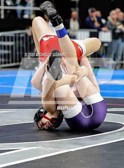 Thumbnail 2 in NYSPHSAA State Championships (wrestle backs to 3rd place) photogallery.