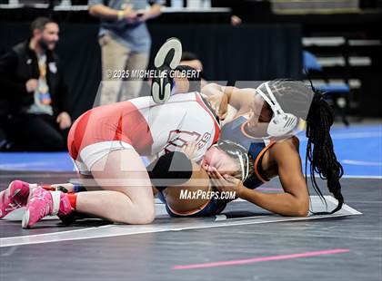 Thumbnail 3 in NYSPHSAA State Championships (wrestle backs to 3rd place) photogallery.