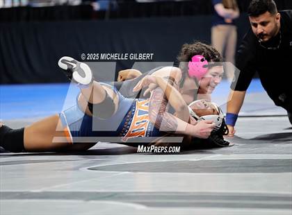 Thumbnail 2 in NYSPHSAA State Championships (wrestle backs to 3rd place) photogallery.