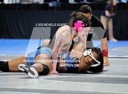Thumbnail 1 in NYSPHSAA State Championships (wrestle backs to 3rd place) photogallery.