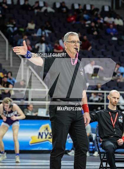 Thumbnail 2 in NYSPHSAA State Championships (wrestle backs to 3rd place) photogallery.
