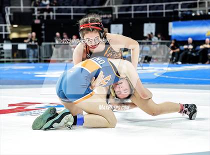 Thumbnail 3 in NYSPHSAA State Championships (wrestle backs to 3rd place) photogallery.