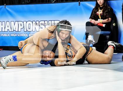 Thumbnail 2 in NYSPHSAA State Championships (wrestle backs to 3rd place) photogallery.
