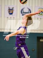 Photo from the gallery "Arvada West @ Windsor Charter Academy"