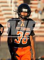 Photo from the gallery "Heritage @ Pittsburg"