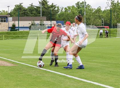 Thumbnail 1 in Pembroke Hill vs. Visitation Academy (MSHSAA Class 2 Semifinal) photogallery.