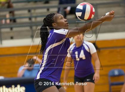 Thumbnail 3 in Warren @ Stevens photogallery.