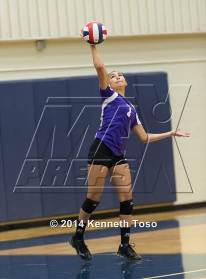 Thumbnail 3 in Warren @ Stevens photogallery.