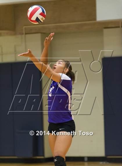 Thumbnail 3 in Warren @ Stevens photogallery.