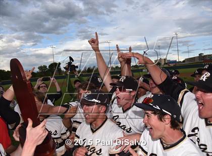 Thumbnail 1 in Rock Canyon vs. Chatfield  (CHSAA 5A Final) photogallery.