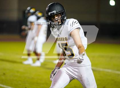 Thumbnail 2 in Saguaro @ Hamilton photogallery.