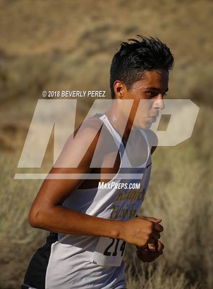Thumbnail 2 in Golden League Meet #1  photogallery.