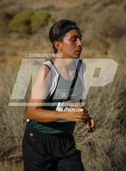 Thumbnail 3 in Golden League Meet #1  photogallery.