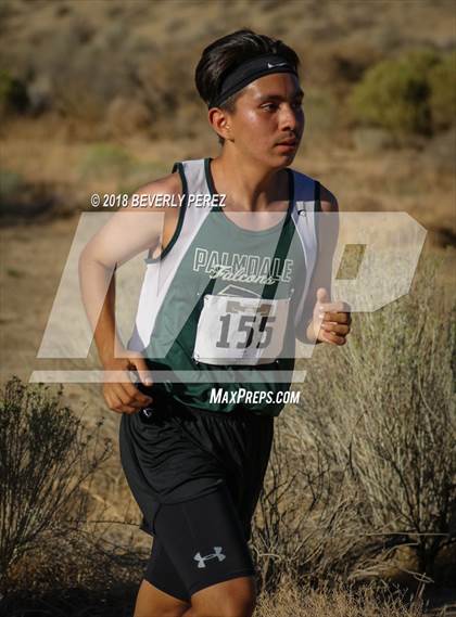 Thumbnail 1 in Golden League Meet #1  photogallery.