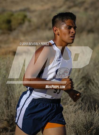 Thumbnail 2 in Golden League Meet #1  photogallery.