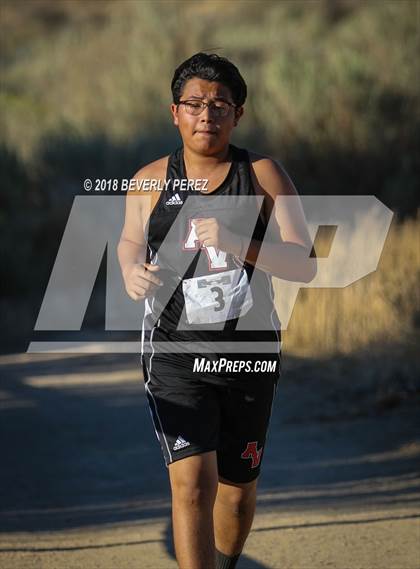Thumbnail 2 in Golden League Meet #1  photogallery.