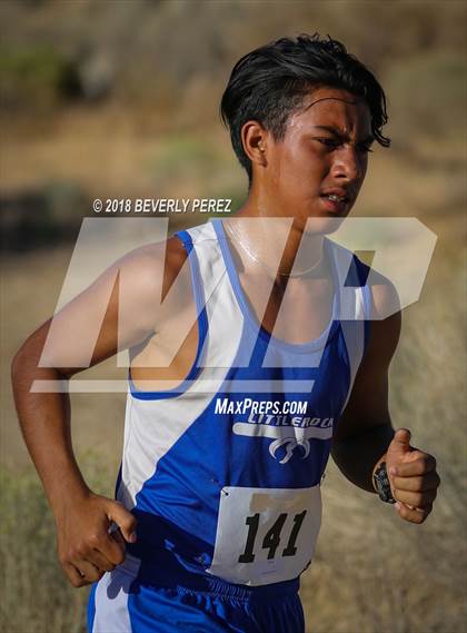 Thumbnail 3 in Golden League Meet #1  photogallery.