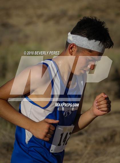 Thumbnail 1 in Golden League Meet #1  photogallery.