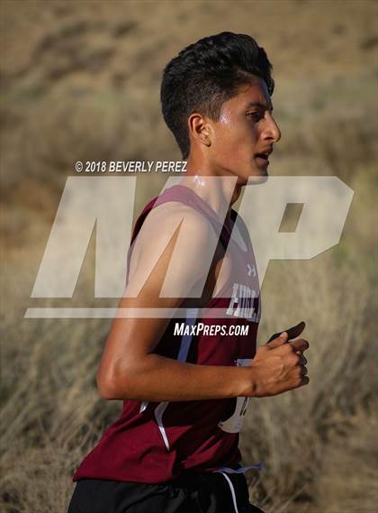Thumbnail 3 in Golden League Meet #1  photogallery.
