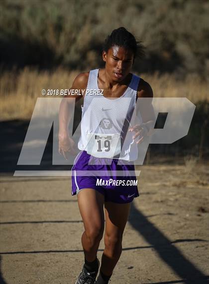 Thumbnail 3 in Golden League Meet #1  photogallery.