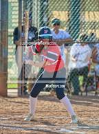 Photo from the gallery "Palmetto @ Lakewood Ranch"