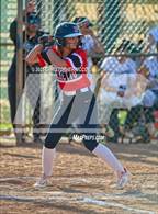 Photo from the gallery "Palmetto @ Lakewood Ranch"