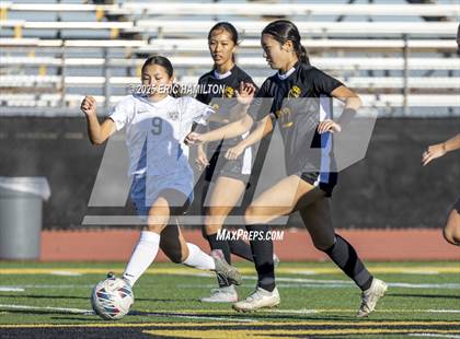 Thumbnail 3 in Palos Verdes @ Peninsula photogallery.